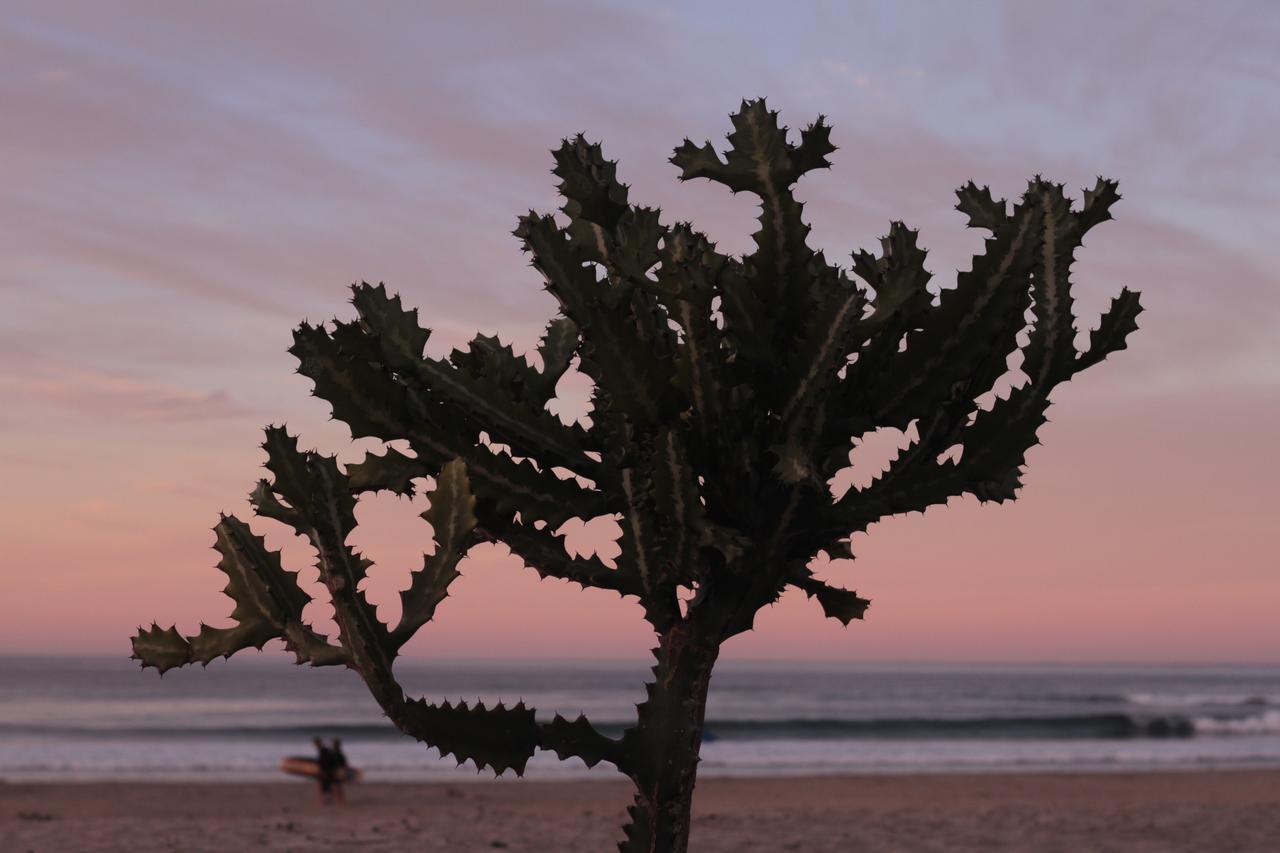 Cerritos Beach Hotel Desert Moon El Pescadero  Kültér fotó
